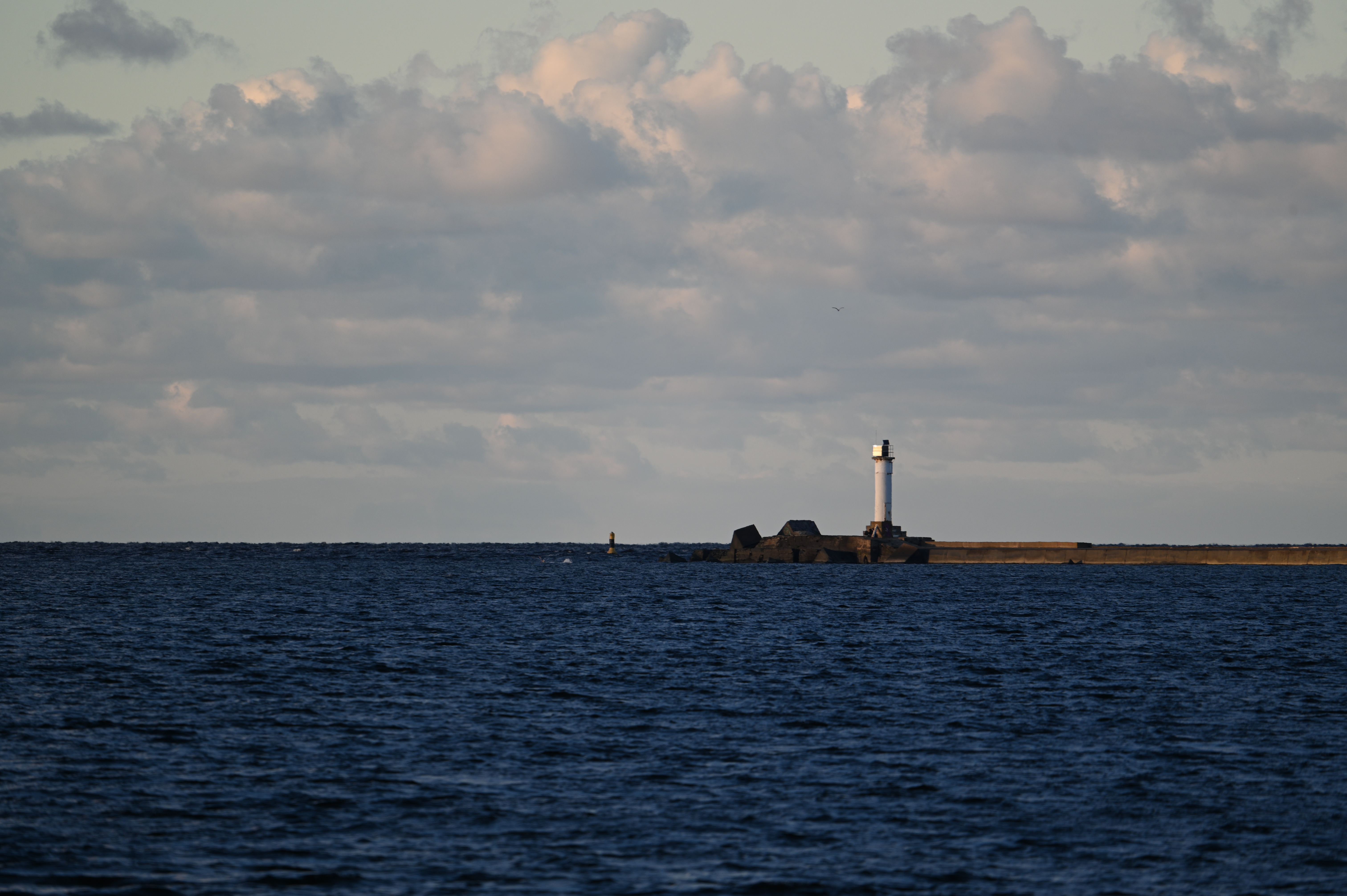 2025/10/18 - walk/DSC_0215.JPG